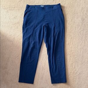 Kirkland Navy Blue Pants